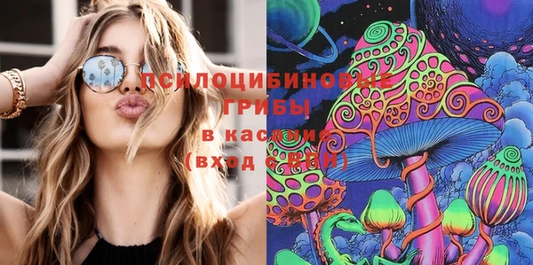 экстази Алексин