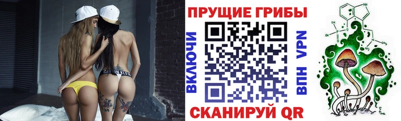 что такое   Арамиль  Галлюциногенные грибы Cubensis 